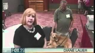 2008 Animal Survivors on KABB Fox News San Antonio