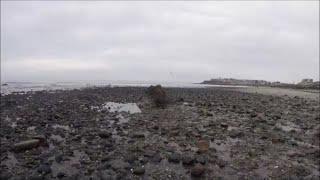 Beach Metal Detecting Hampton NH