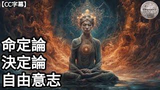 何為命定論決定論和自由意志 | 人的一生是一早已經安排好 ? | 人可以掌握命運 ? | 人受因果輪迴所限 ?  | Dimension D.