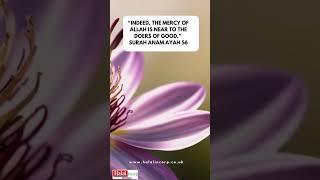 Islamic Quote Mercy #shorts #muslim