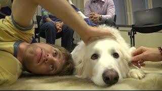Duke University students take a study break and play with puppies