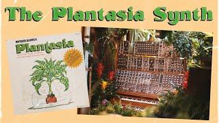 The "Plantasia Moog" Modular Synth - An Untold Story