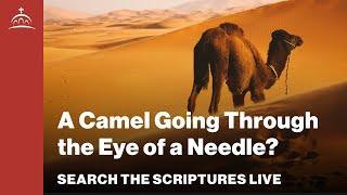 Search the Scriptures Live - A Camel Going Through the Eye of a Needle?