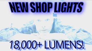 Accurate Rifles and Restorations - Shop Lights