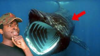 THE OCEAN IS SCARY #Shorts