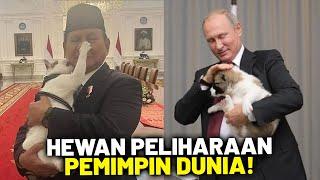 Ada yang Diangkat Jadi Jenderal! Bukti Prabowo dan Putin Pemimpin Dunia Penyayang Hewan