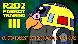 2 Hours of Ultimate R2D2 Parrot Training