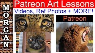 Wildlife Art Lessons : Learn to Draw and Paint animals : Jason Morgan