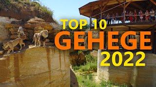 Top 10 Zoo Gehege 2022