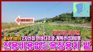 10514#강화도부동산 #강화도토지 #강화도급매물 / 2차선 도로 접하고 전용 비용 없는 목장 용지 360평/ 먼바다 조망 되고 활용도 높은 계획 관리#강화도전원주택 #강화도여행