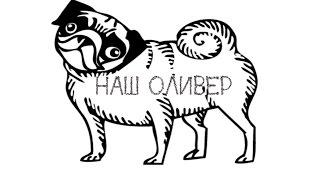 Спокойной ночи малыши!