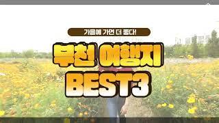 서울근교 당일치기 나들이 BEST3 Ι 경기도 부천 여행지추천 가볼만한곳 Ι 가을 여행지 Ι 부천명소 Ι 가을꽃전시회