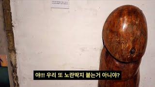 아들 낳을 수 있는 카페