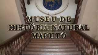 MUSEU HISTORIA NATURAL MOÇAMBIQUE