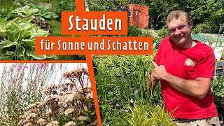 Schöne Stauden für jeden Standort | MDR Garten