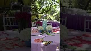 Best Decor Ever | Rajpal Productions #decor #bestdecor