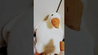 오리자매!