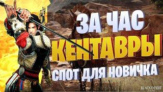 500кк+ спот для новичка  Кентавры  Black Desert