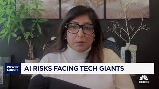 Expect to see more caution around AI risks from tech earnings, says Credo AI CEO Navrina Singh