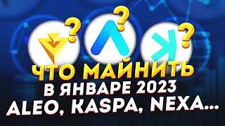 Что прибыльно майнить в январе 2023? Майнинг ALEO, майнинг NEXA на HiveOS, майнинг жив?