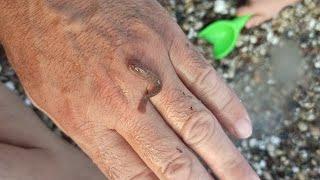 Look what i found digging in the sea gravel out of the water