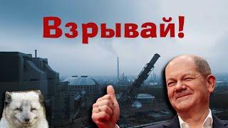 Символ года I: Шольц открыл, Шольц взорвал!