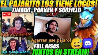 Parker, Timado y scofield se vuelven locos x un pájaro en stream!Full risas x discord