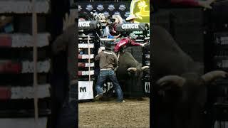 Wacey Schalla | Join PRORODEO