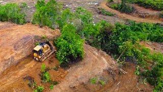 How CAT Dozer Makes Terraces On Banana's Plantation Turn Into Palm Oil Plantation