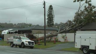 Trees crush house, block roads as ex-Cyclone Alfred hits eastern Australia | AFP