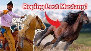 We Try to Catch a Rogue Mustang!