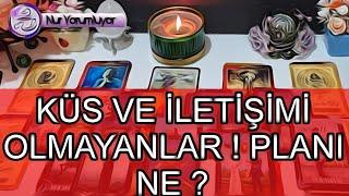 KÜS VE İLETİŞİMİ OLMAYANLAR  PLANI NE ? #tarot falı #keşfet