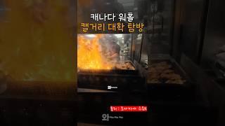 캘거리 대학교 학식탐방했는데 차원이 다르네요?