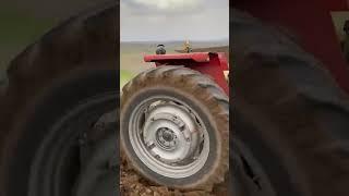 #tractor #tractorvideo #agriculture #masseyferguson #MF398