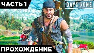DAYS GONE - ПЕРВЫЙ ВЗГЛЯД! ЖИЗНЬ ПОСЛЕ | ПРОХОЖДЕНИЕ #1