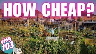 Ep103: How much does my full size UK allotment plot cost?