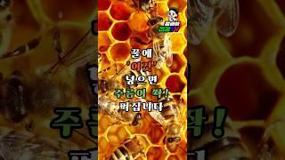 "60세 이상 필수! 꿀 + 이것만 바르면 주름이 쫙 펴집니다"