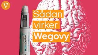 Sådan virker Wegovy