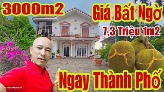 NHÀ VƯỜN 3000m2 THUẬN AN BÌNH DƯƠNG CHỦ CẦN BÁN GẤP RẺ HƠN CỦ CHI 7,3 triệu 1m2 |#nhadepsg