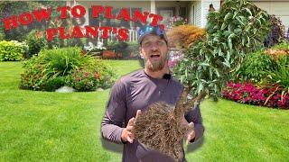 How to Plant Shrubs and Trees!!! Proper Planting Tips and Tricks!! Make the Landscape you Want!!