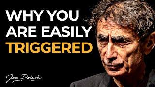 How to understand & heal your trauma | Gabor Maté