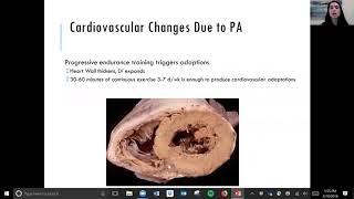 Cardiovascular Adaptations and Program Design Part One