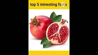 Interesting facts in Telugu # real amazing facts # interesting shots # top 5 interesting facts #