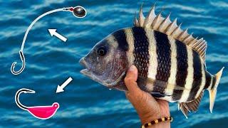 SHEEPSHEAD EXPERIMENT - Carolina Rig vs Jig