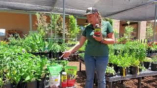 Controlling Pests In the Garden and on Livestock