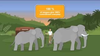 WWF Rangers - Non Profit Animation - Explainer Videoly