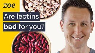 The surprising truth about lectins | Dr. Will Bulsiewicz