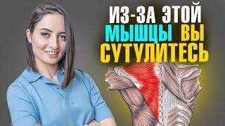 ЭТА мышца зажата у 90% людей | 5 ПРОСТЫХ упражнений, чтобы ЭТО исправить