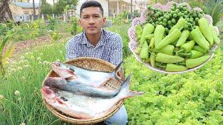 " Free and Fresh vegetables from backyard for cooking " 2 recipes with River fish - Rural Lifestyle