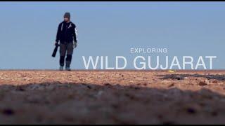 Exploring Wild Tapestry of Gujarat with EOS Maestro Dr. Caesar Sengupta & Canon Telephoto STM Lenses